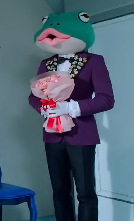The frog's outfit.